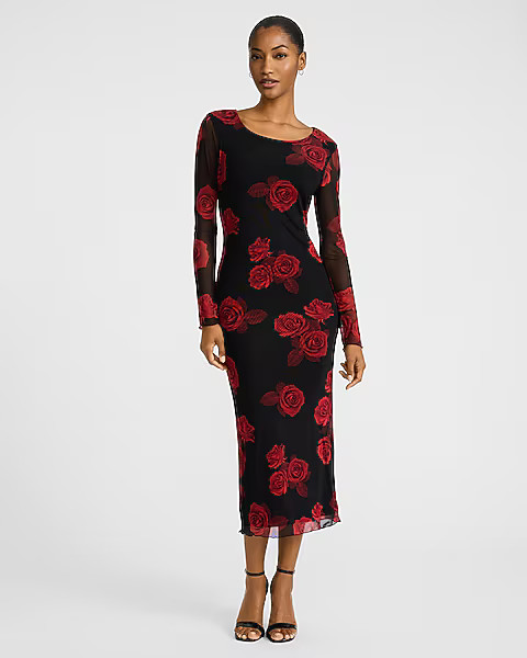 Floral Mesh Crew Neck Long Sleeve Midi Dress | Express