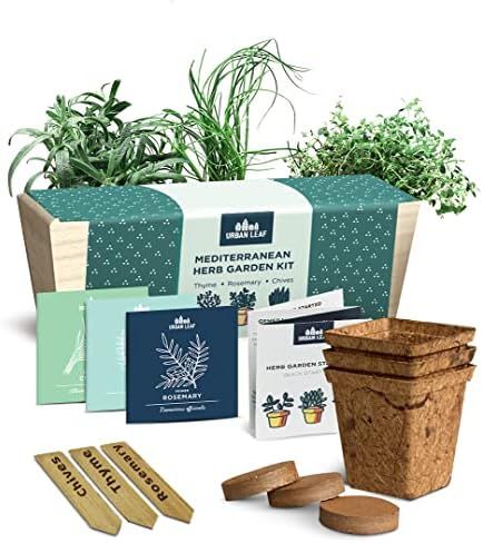 Herb Garden Kit Indoor – Organic Indoor Herb Garden Starter Kit – Rosemary, Chives, Thyme See... | Amazon (CA)