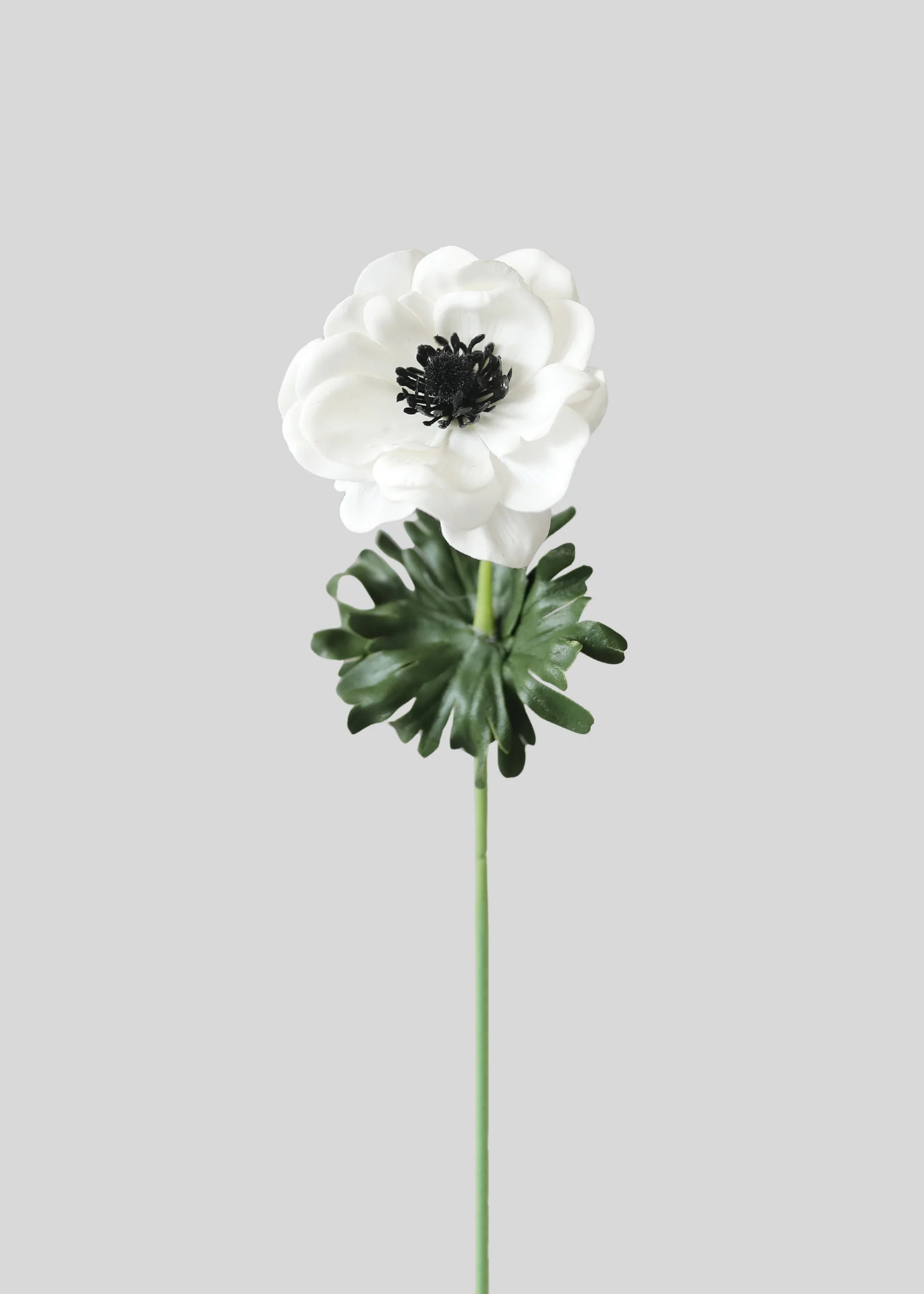 Anemone Stem in White | Real Touch Artificial Flowers | Afloral | Afloral