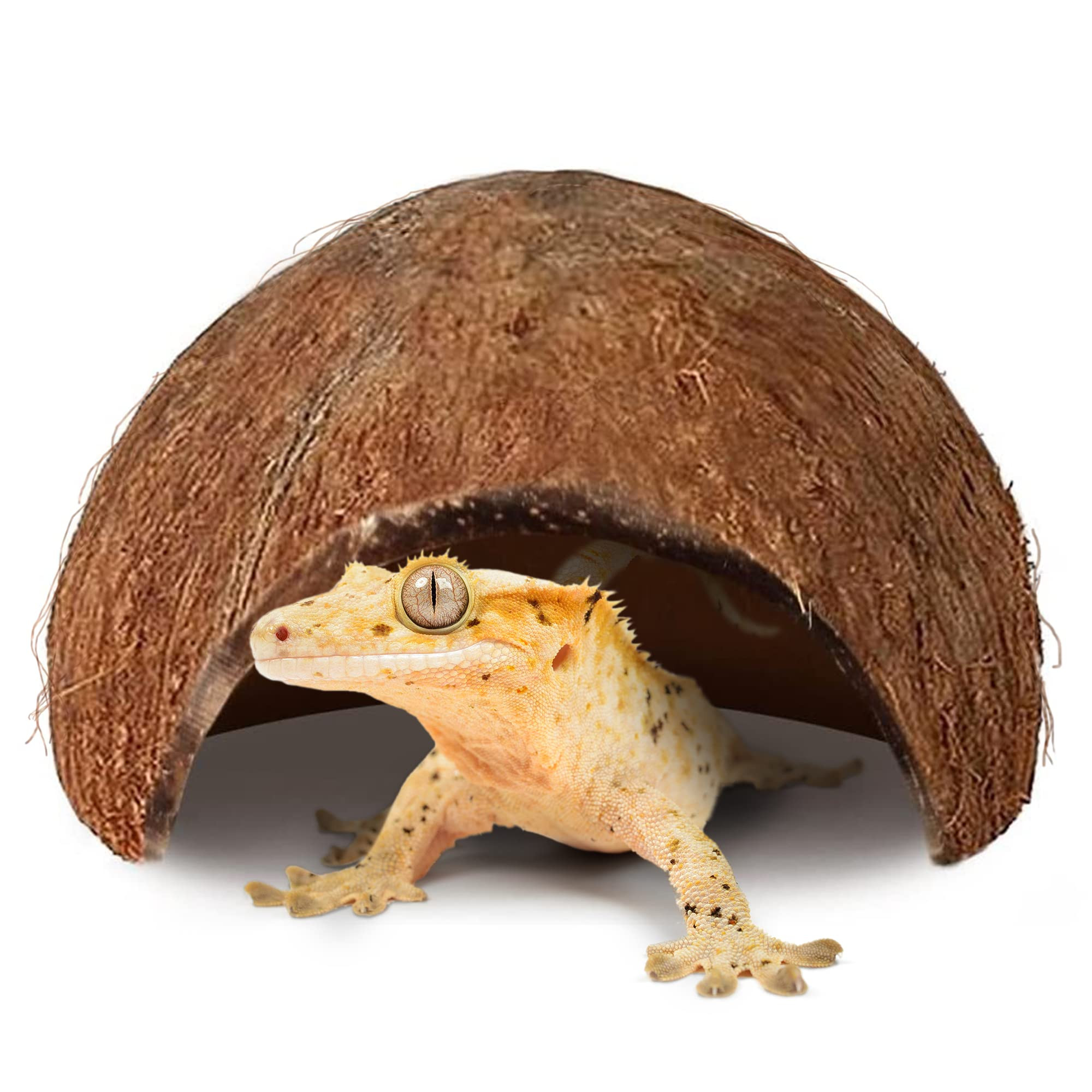 SunGrow Coconut Hut for Crested Gecko, 5x3 Inches Reptile Climbing Hide, Leopard Gecko Tank Cage ... | Amazon (US)