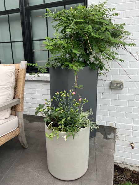 Planter season! Took our first trip to the store to get our pots filled and LOVE how they turned out- linking the planters here! 

Patio, spring, spring decorating, outdoor plants, planters, pots 


#LTKHome