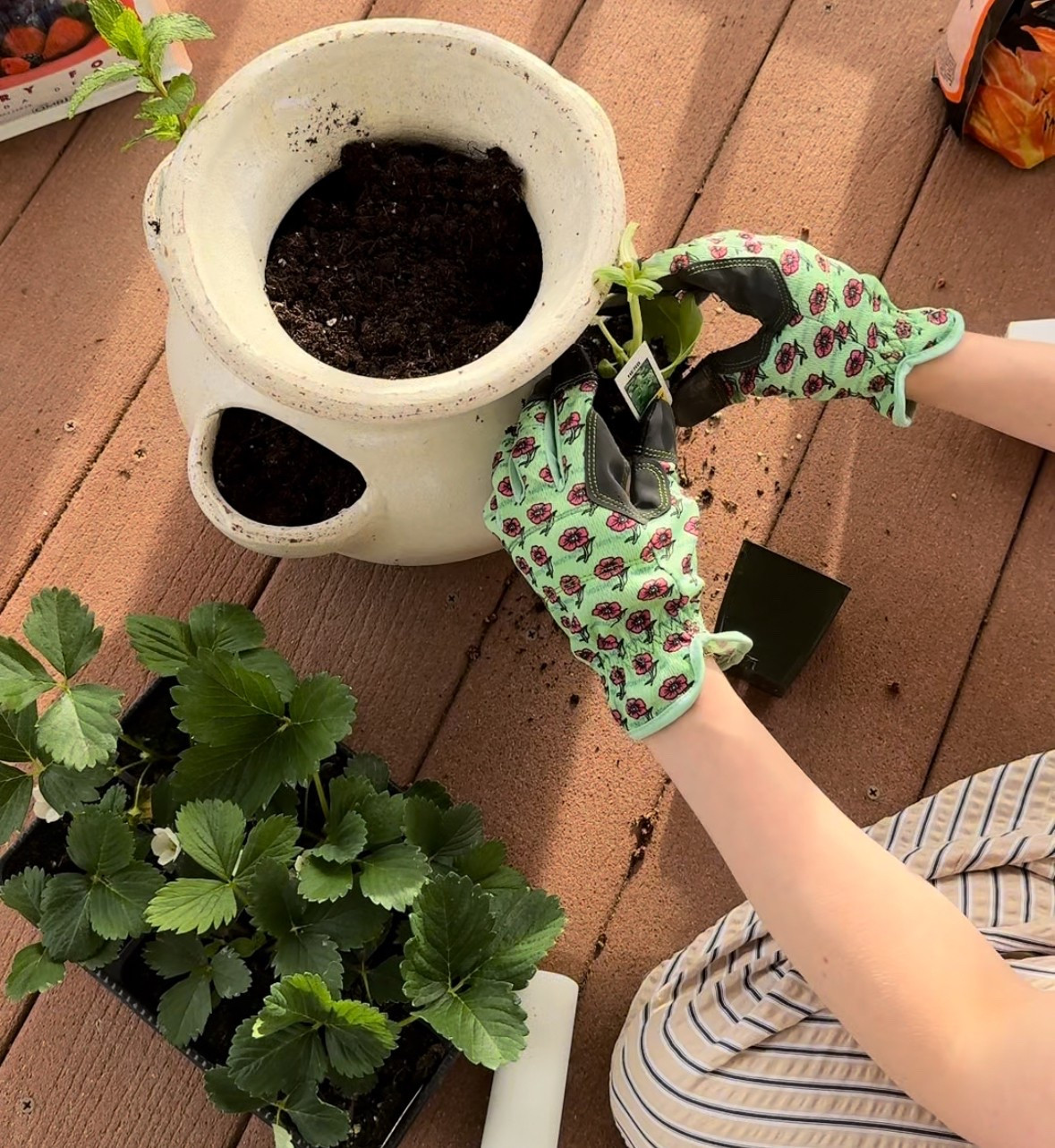 Gardening gloves 

#LTKHome