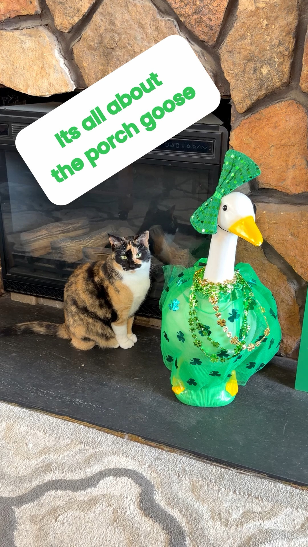 Everyone talks about porch geese…
but no one talks about the cat that supervises them. 🍀🐾 


#LTKSeasonal #LTKdayinmylife #LTKHome