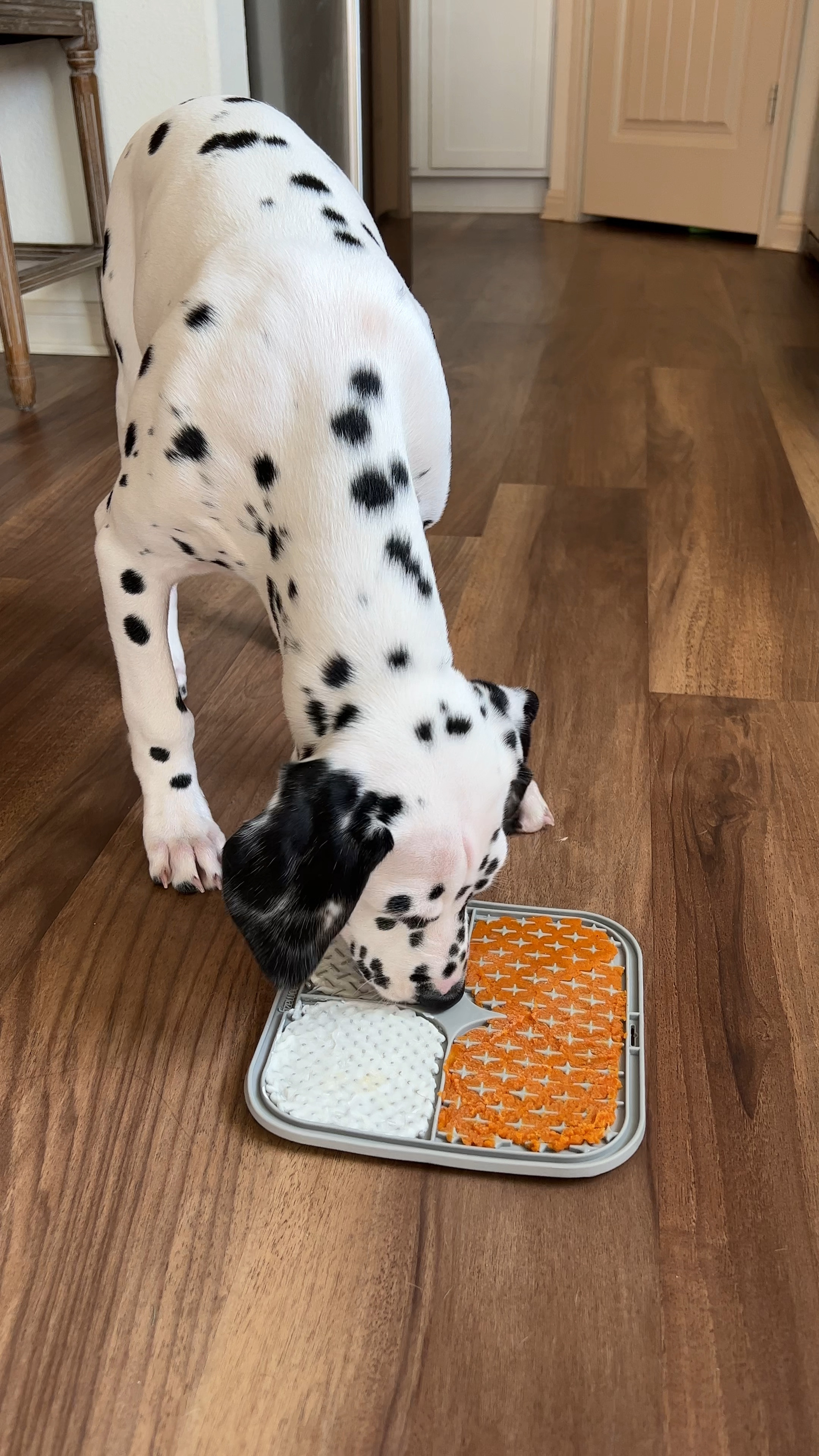 Puppy Lick Mat 😋

Spread and freeze to keep your dog occupied. 

#LTKFind #LTKhome #LTKsalealert