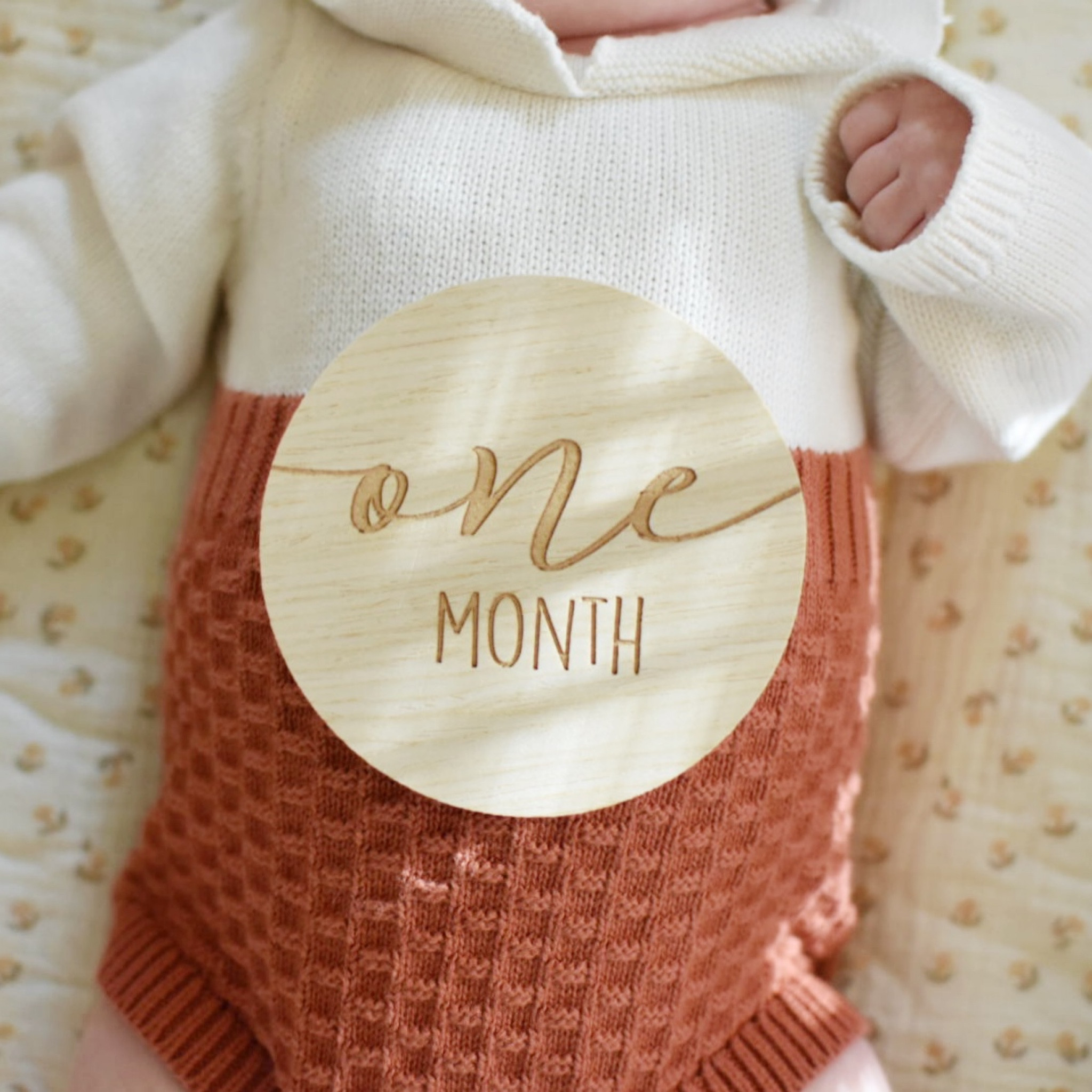 Monthly milestone wooden discs on sale for less than $10!


#LTKkids #LTKbaby #LTKbump