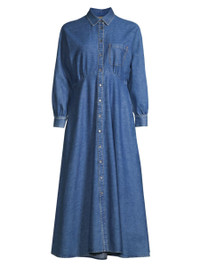 Click for more info about Yemen Denim Long-Sleeve A-Line Midi-Dress