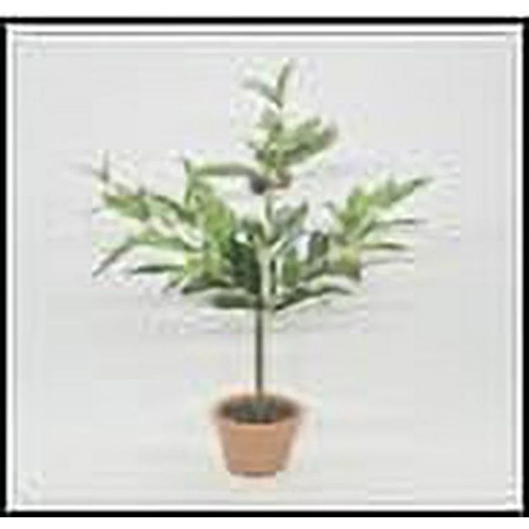 Mainstays 18"H Artificial Olive Plant in 3.3"H Terra Cotta Planter - Walmart.com | Walmart (US)