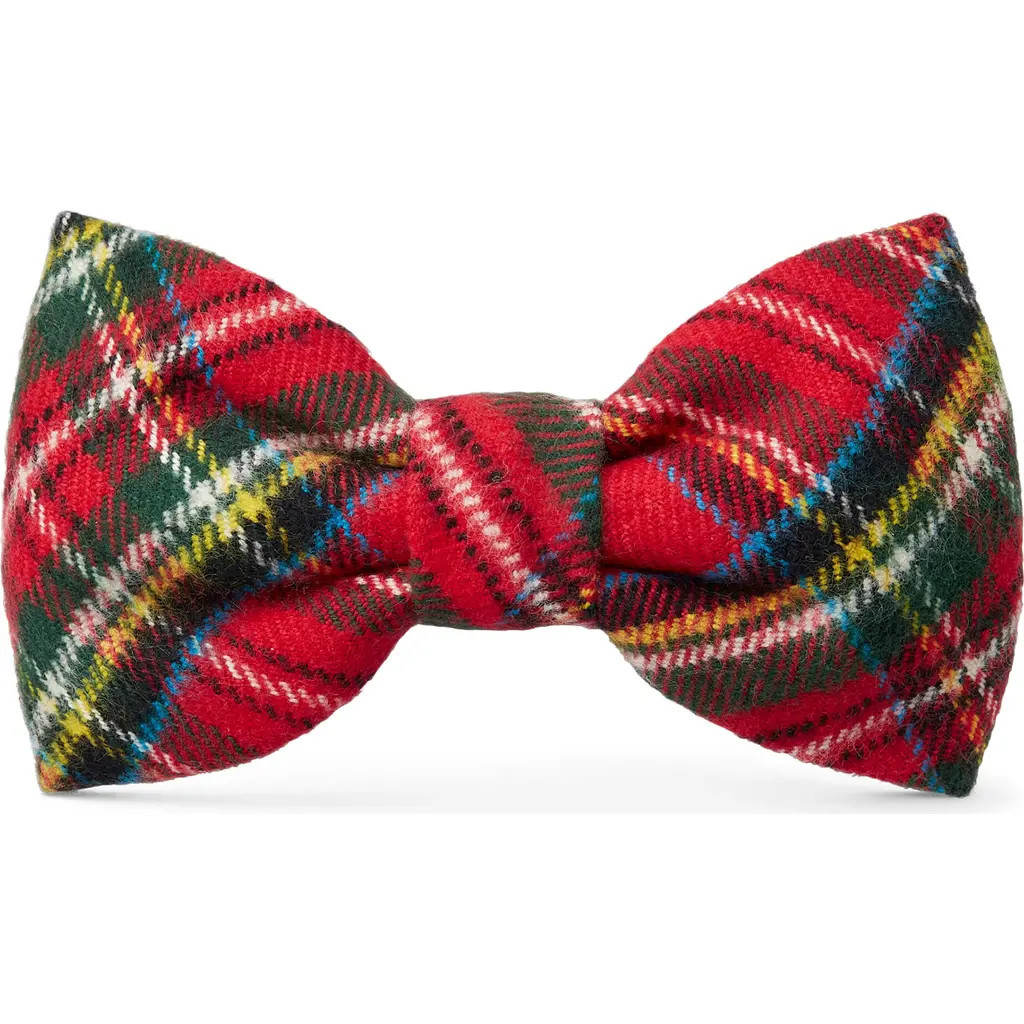 The Foggy Dog Dog Bow Tie in Tartan Plaid at Nordstrom, Size Large | Nordstrom