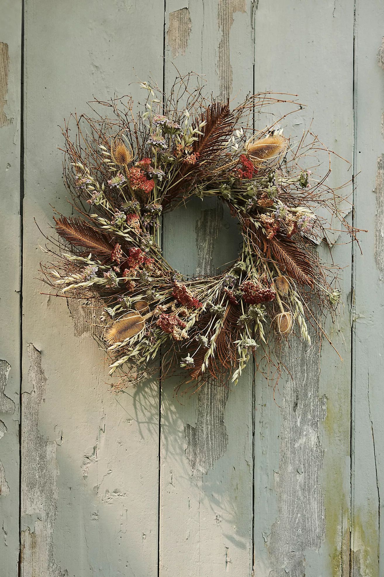 Preserved Fern + Feather Wreath | Anthropologie (US)