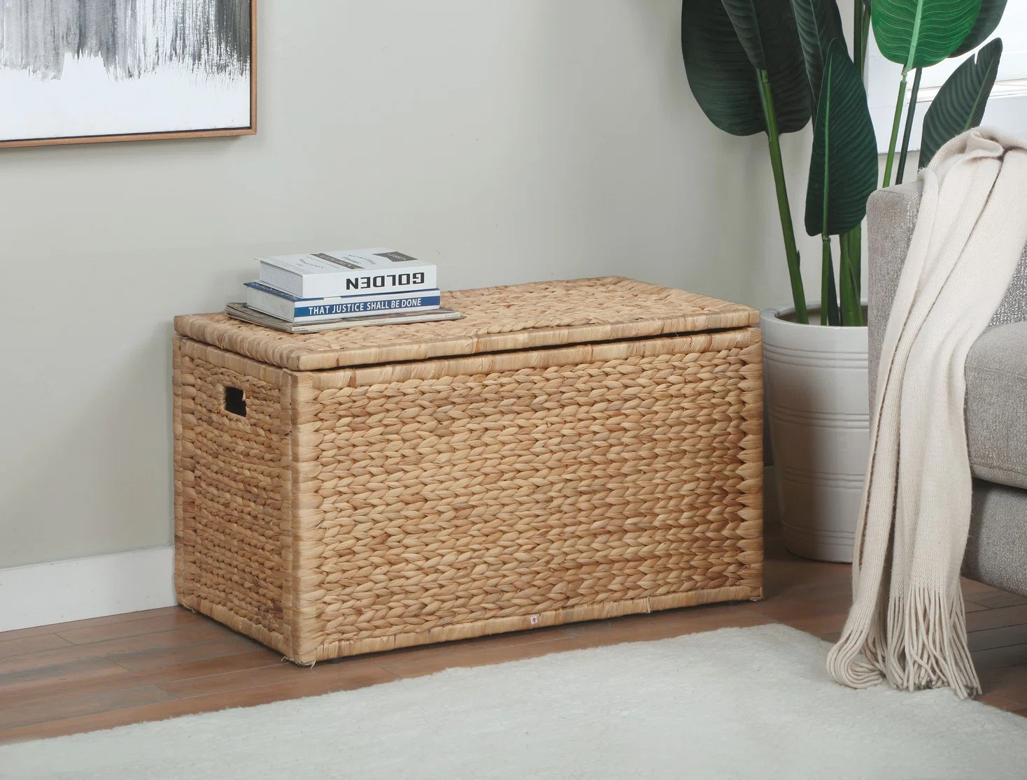 Ved Heavy-duty Water Hyacinth Wicker Storage Trunk with Metal Frame | Wayfair North America