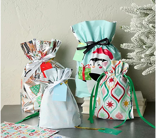 Kringle Express 50-pc Small and Medium Gift Bags Set - QVC.com | QVC