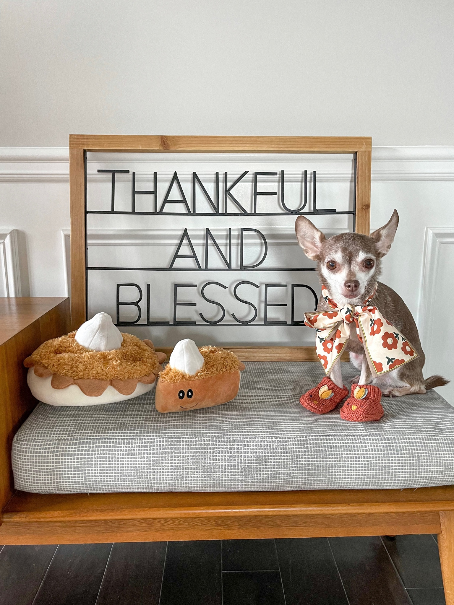 The cutest pumpkin pie hide and seek dog toy!

Dog toy, burrow toy, thanksgiving 

#LTKfamily #LTKSeasonal #LTKHoliday