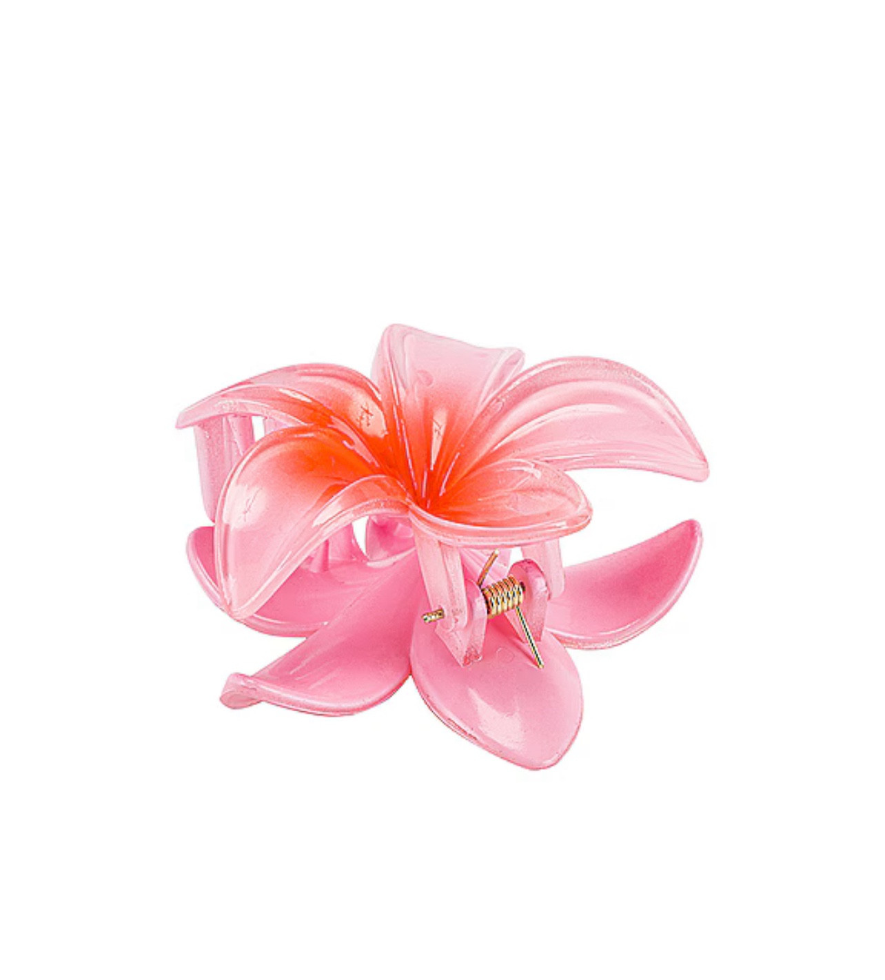 Coastal flower claw clip

#LTKU #LTKTravel #LTKSeasonal