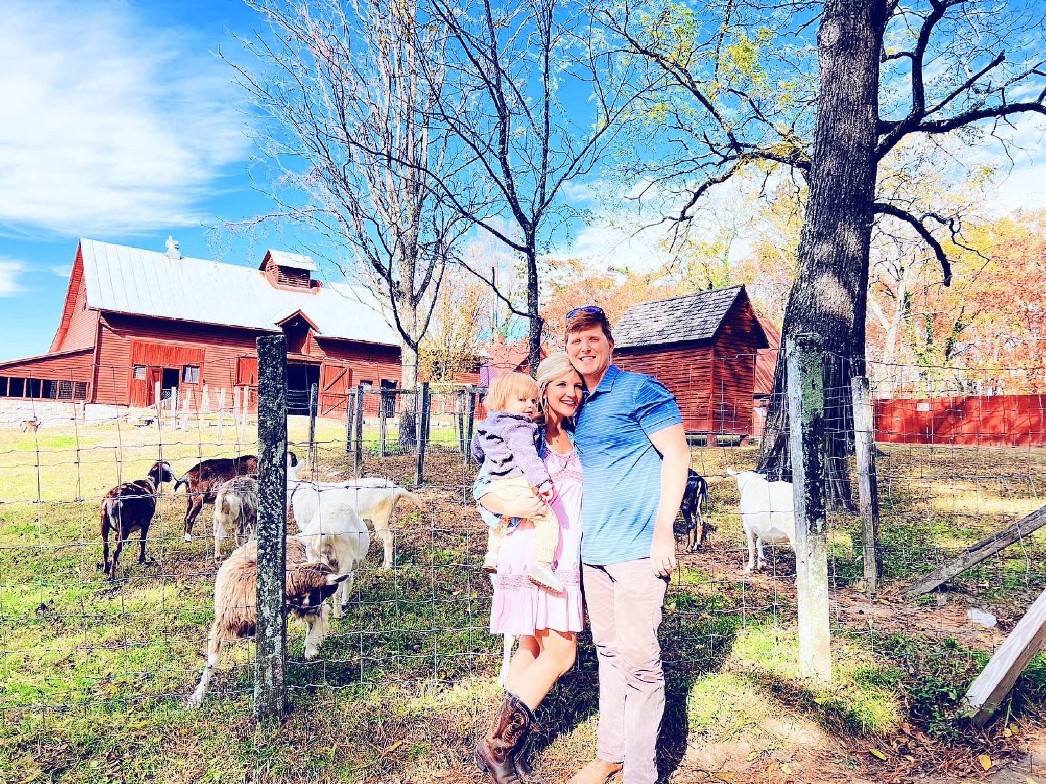 Got to start off Halloween weekend with a visit to the beautiful @carlsandburghomenhs - with the gorgeous fall leaves in peak season and lots of “goat goats” that Judson loved getting to meet!! What a sweet fall friday up in the mountains with my favorite boys!! 🍂🐐🍁🏔🌳 #fallfridayfamilyfun 

…

#emilysayswes #judsoncarpentermabry #seventeenmonthsold #seventeenmonthold #seventeenmontholdbaby #seventeenmontholdboy #judsonmonthbymonth #sweetjudson #oursweetboy #oneyearold #oneyearoldbaby #oneyearoldbabyboy #oneyearoldboy #gratefulmotherhood #fallfun #autumnmemories #octobermemories #thankyoulord #sweetfallmemories #mysweetboys #happyfamilyday #fridayfamilyday

#LTKfamily #LTKSeasonal #LTKbaby