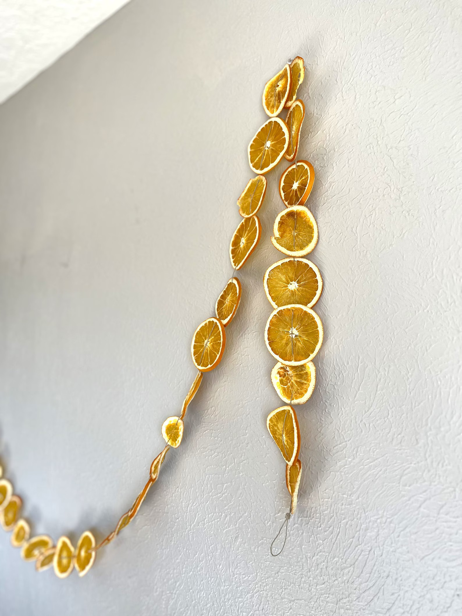 Dried Citrus Garland: Natural Holiday Decor - Etsy | Etsy (US)