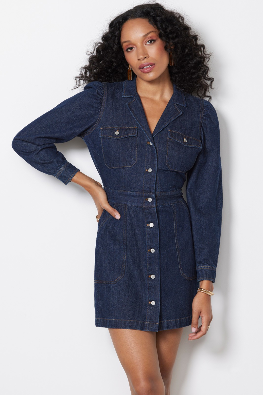 RAILS Lisette Dress | EVEREVE | Evereve