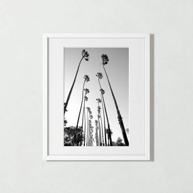Palm Trees Road' Photographic Print in White Frame 21""x25""' | CB2