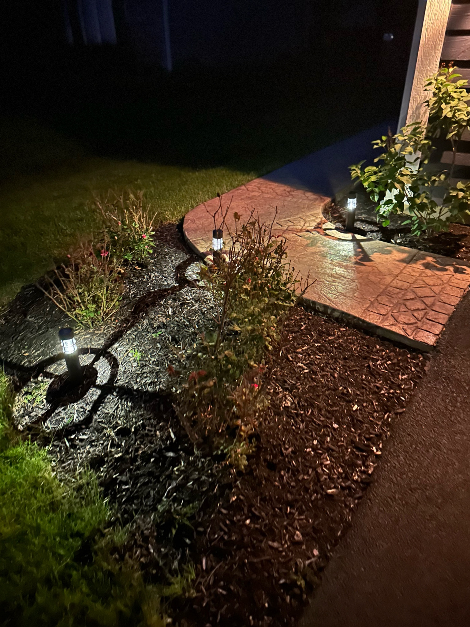 Modern pathway lights from Walmart
Under $20 for 6
Available in Black & Stainless Steel


#LTKFindsUnder50 #LTKSeasonal #LTKHome