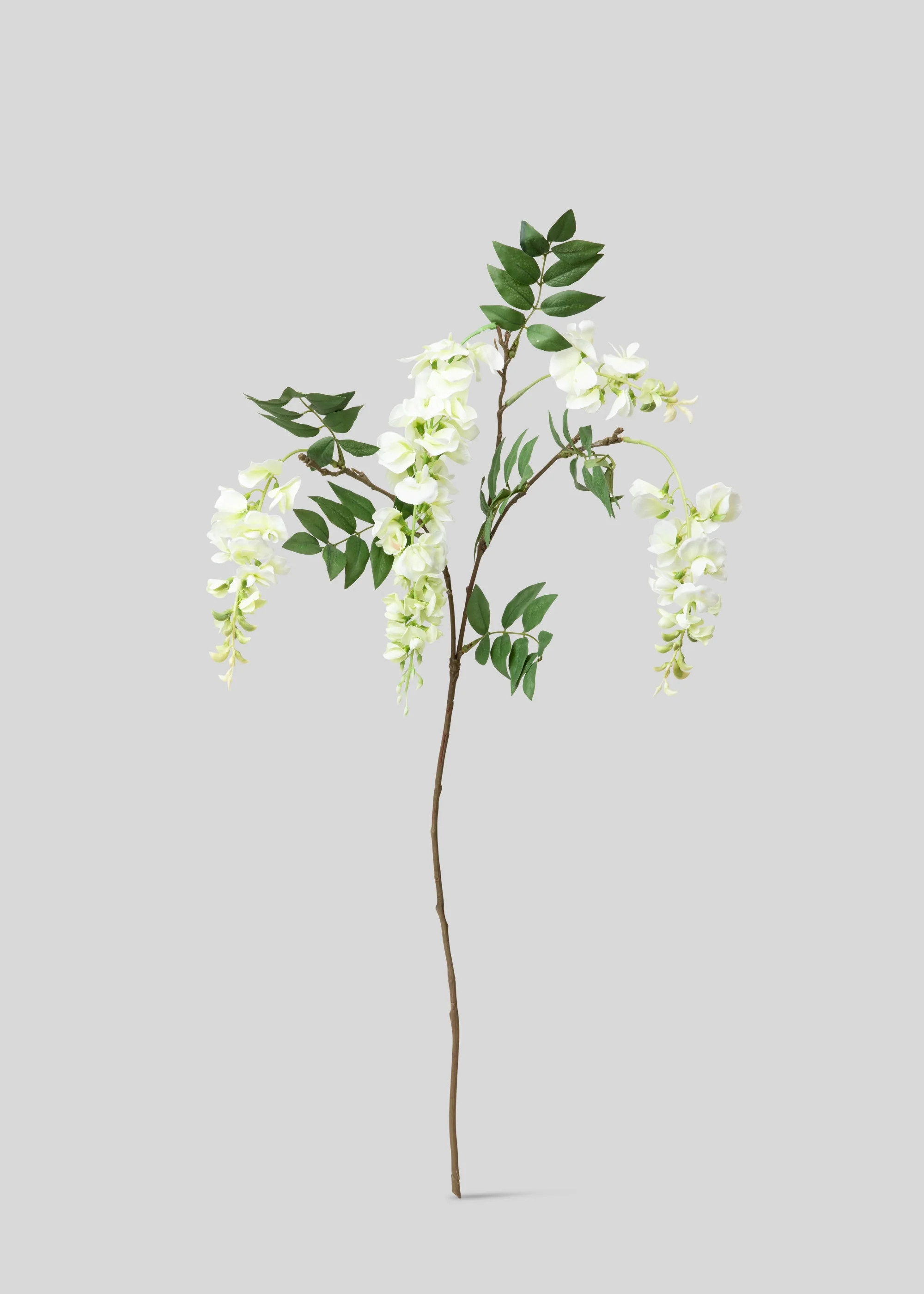 Wisteria Branch in Cream | Artificial UV Treated Flowers | Afloral | Afloral