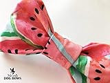 Watermelon Dog Bow Tie | Amazon (US)