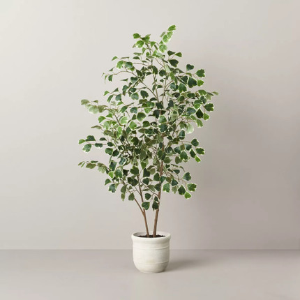 Click for more info about 55" Faux Variegated Triangle Ficus Tree - Hearth & Hand™ with Magnolia