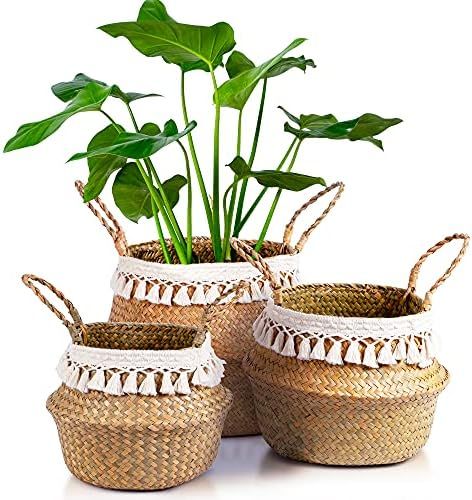 Encore Essentials Seagrass Woven Basket for Plants - Set of 3 Decorative Wicker Baskets with Hand... | Amazon (US)