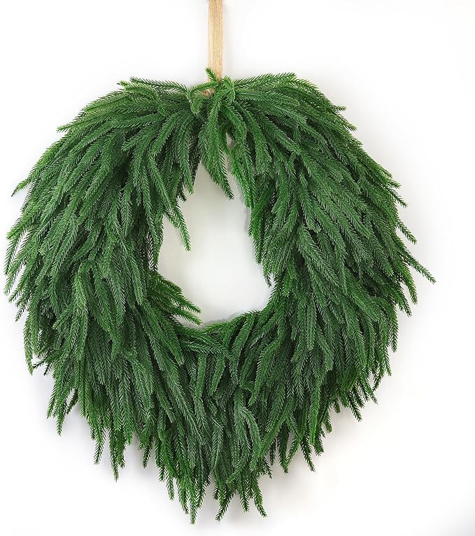 24" Norfolk Pine Christmas Wreath for Front Door – Large Artificial Greenery Wreath for Wall, P... | Amazon (US)
