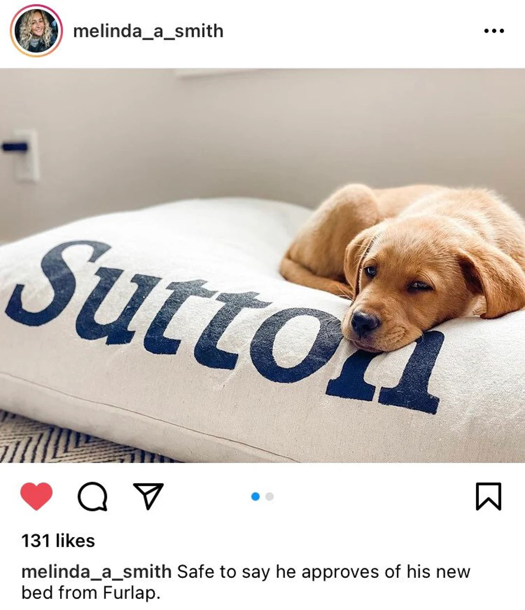 Furlap Cotton Canvas or Denim Dog Pet Bed and Duvets Zipper - Etsy | Etsy (US)