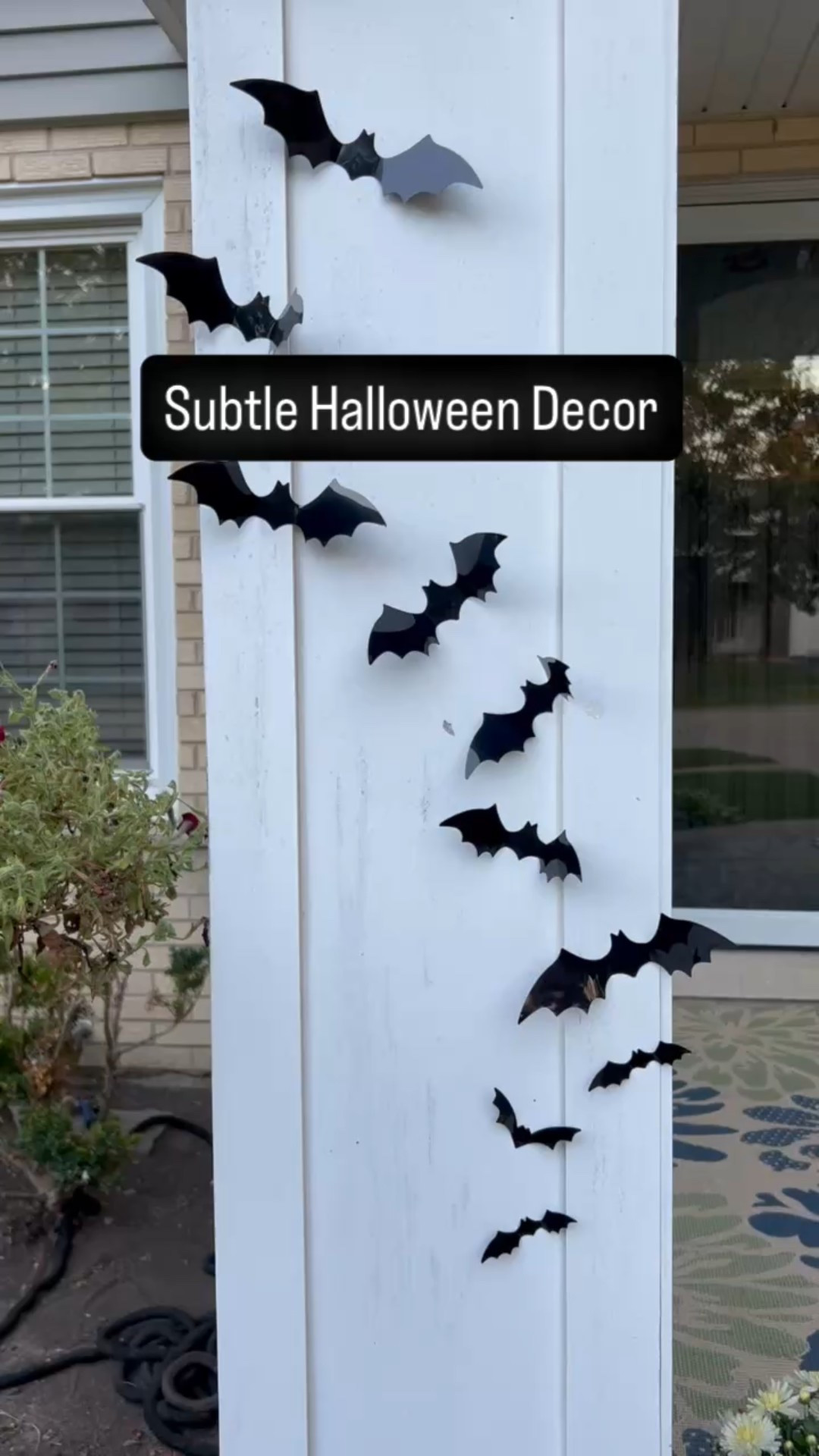 Adding a touch of Halloween to my front porch (and garage…and pumpkins… and surfaces indoors) with these adorable vinyl bats. I used removable Glue Dots instead of the adhesive stickers the bats came with, just to be extra careful not to damage my surfaces. (Note: For the garage door, I used magnets to keep the bats in place.)

Give this super easy project a try! 🦇

#bats #halloweendecor #porchdecor #fallporch #fallporchdecor #falldecoratingideas #affordabledecor #seasonaldecorideas #temporarydecor #partydecor #halloweenpartydecor #subtlehalloweendecor #garagedoordecor 

#LTKHome #LTKSeasonal