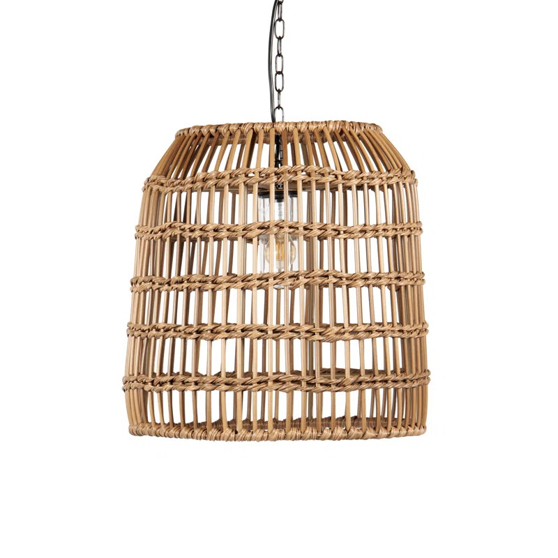 Cayman Outdoor Pendant | Wayfair North America