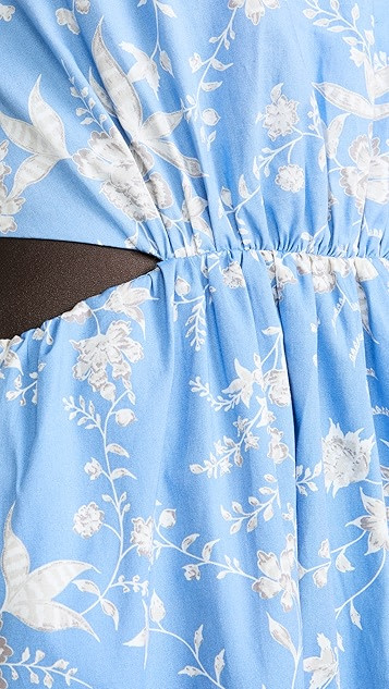 Plaza Cut Out Maxi Dress | Shopbop