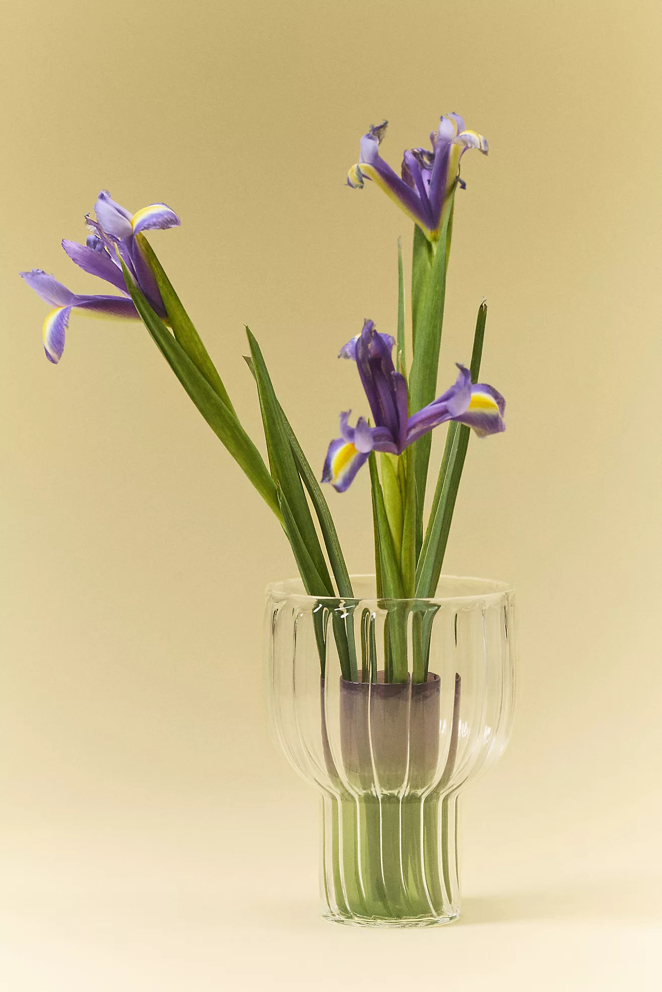 Lucia Neon Glass Vase | Anthropologie (US)