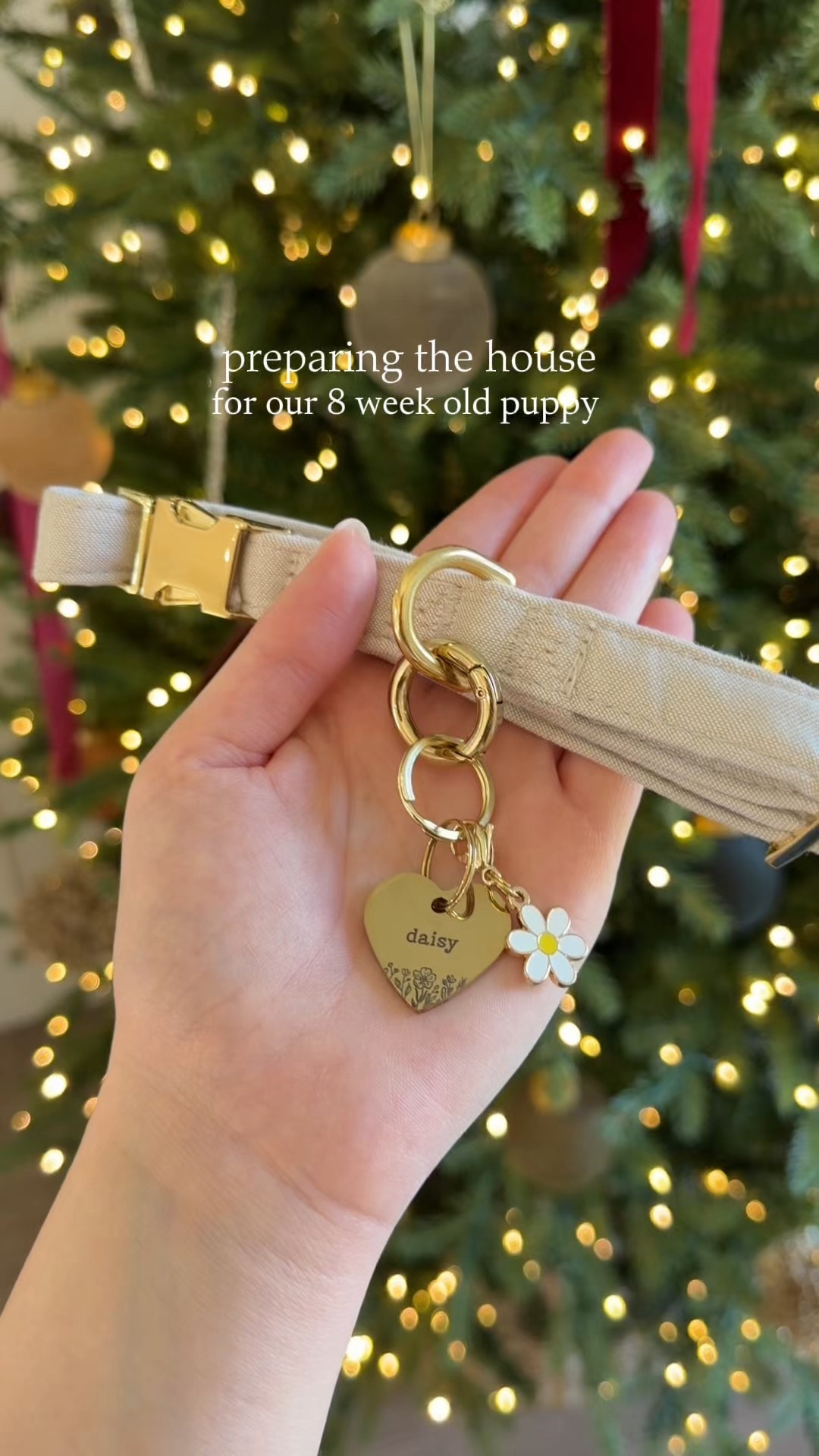 #LTKvlog #LTKmomlife #LTKHome