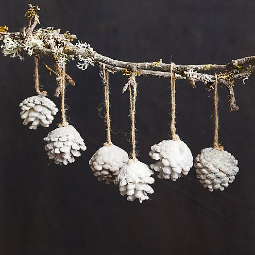 Wax Pine Cone Ornaments, Set of 6 | Terrain