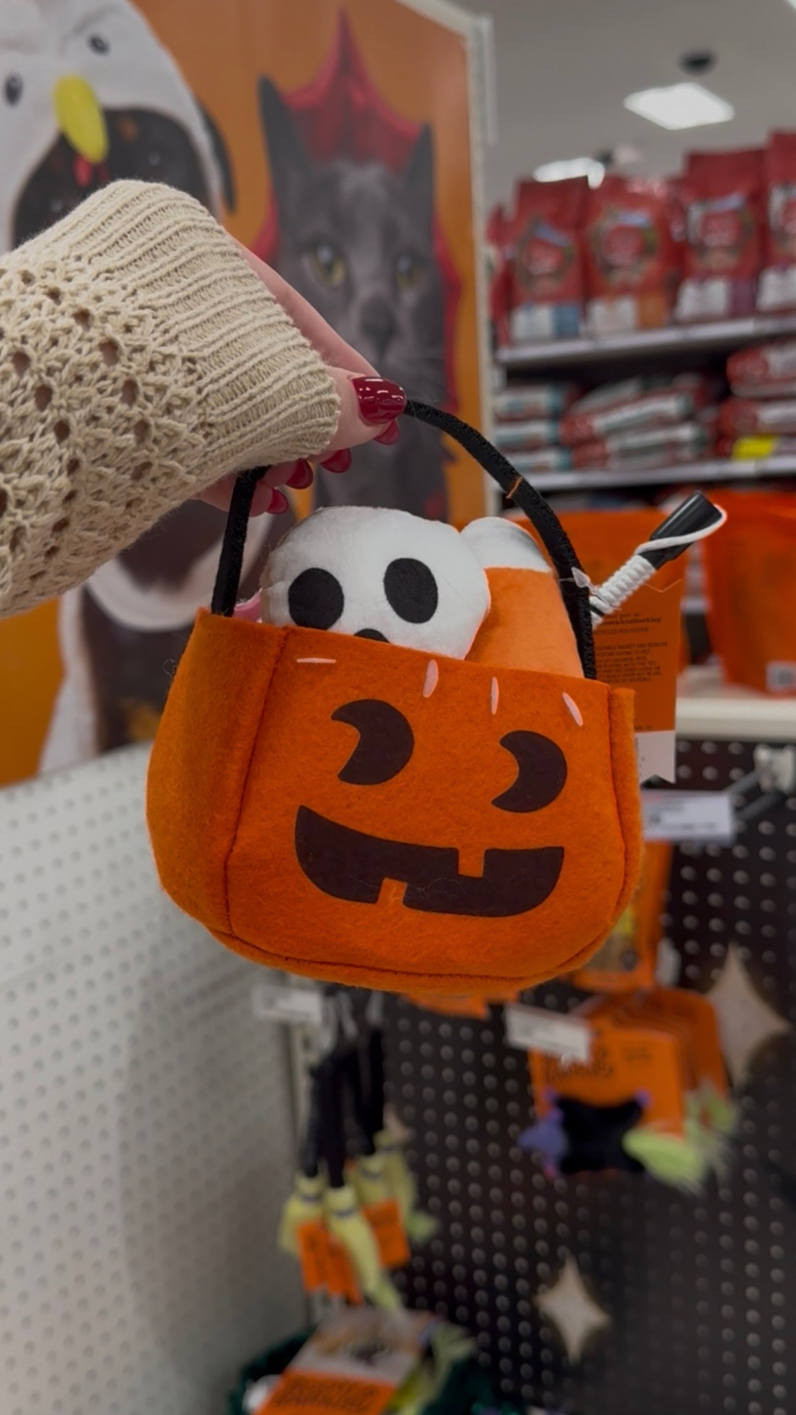 Cat toy Boo Basket!! 🍁🐈🤎