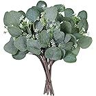 Supla 10 Pcs Artificial Seeded Eucalyptus Leaves Stems Bulk Artificial Silver Dollar Eucalyptus L... | Amazon (US)