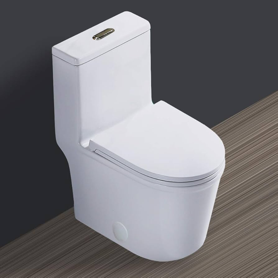 WinZo Compact One Piece Toilet 22.8" Depth Modern Short Design Dual Flush for Small Tiny Mini Bat... | Amazon (US)