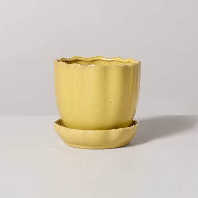 Scalloped Edge Stoneware Indoor/Outdoor Planter Pot with Saucer - Hearth & Hand™ with Magnolia | Target