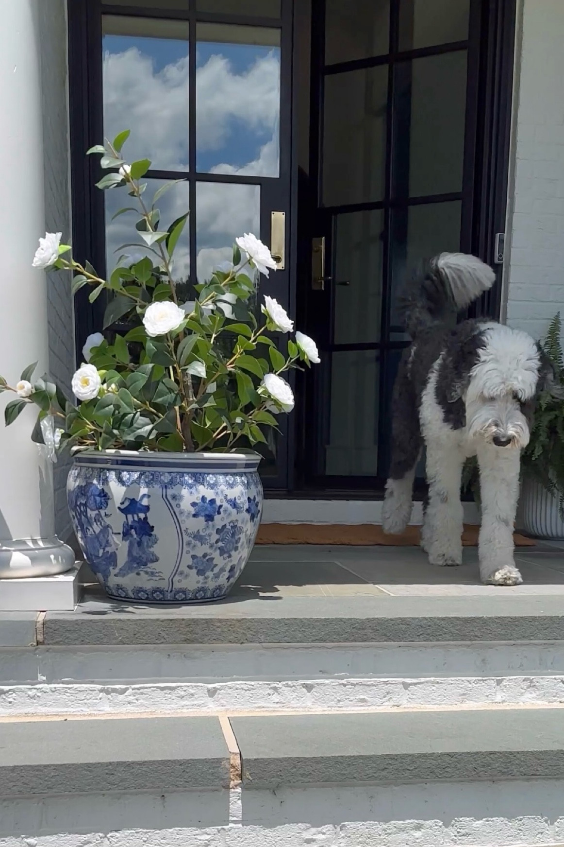 All designer items from Pottery Barn!