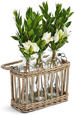 Two's Company 52929 Garden Soiree Flower Arranger with 3 Glass Bottle Vases and Natural Wicker Ba... | Amazon (US)