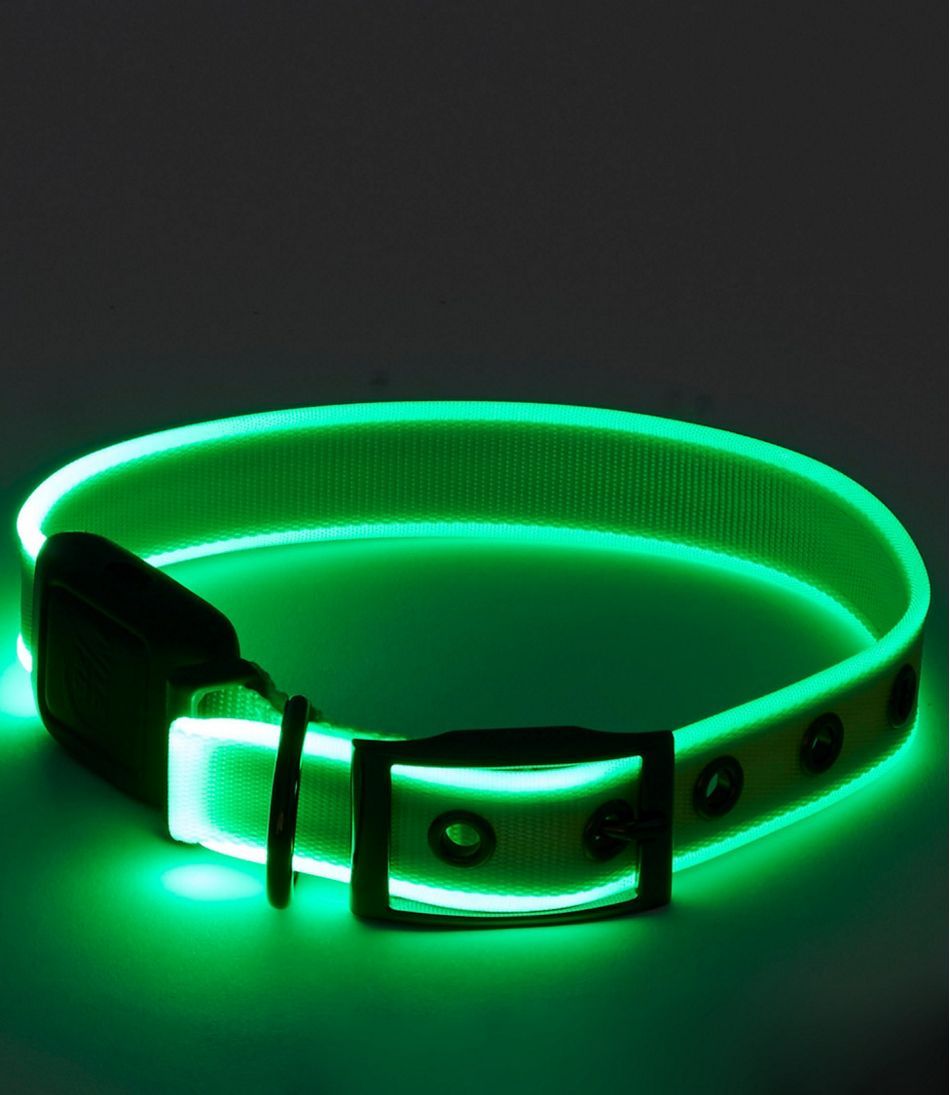 NiteDog® Rechargeable LED Dog Collar | L.L. Bean