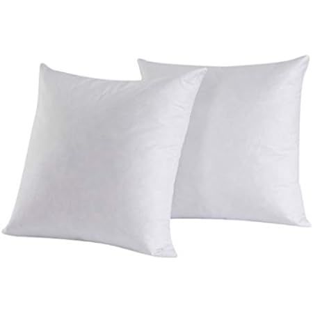 22x22 Decorative Throw Pillow Inserts-Down Feather Pillow Inserts-Square-Cotton Fabric-Set of 2-W... | Amazon (US)