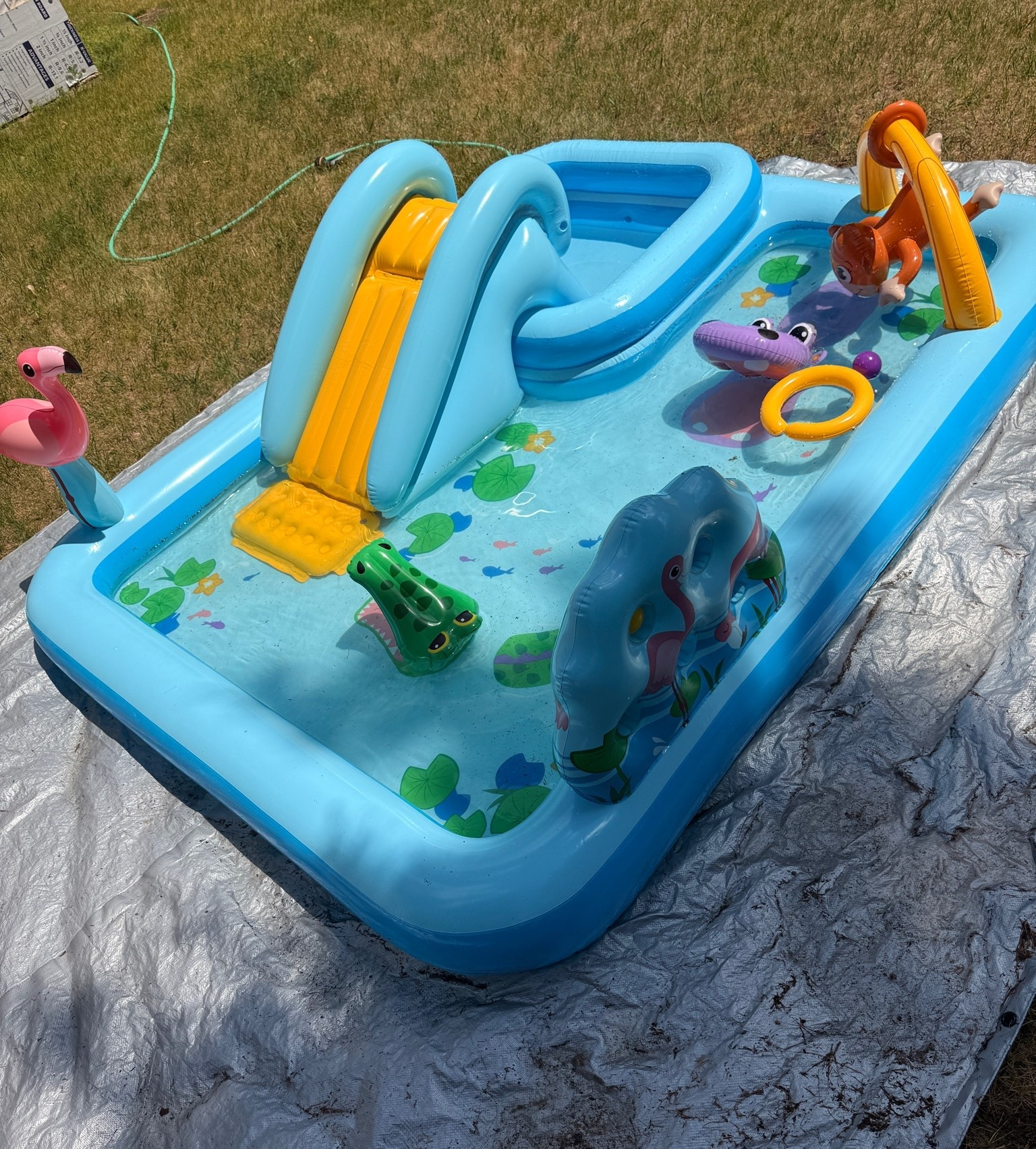 Perfect toddler splash pool from Amazon for summer!

#LTKSeasonal #LTKdayinmylife #LTKSwim