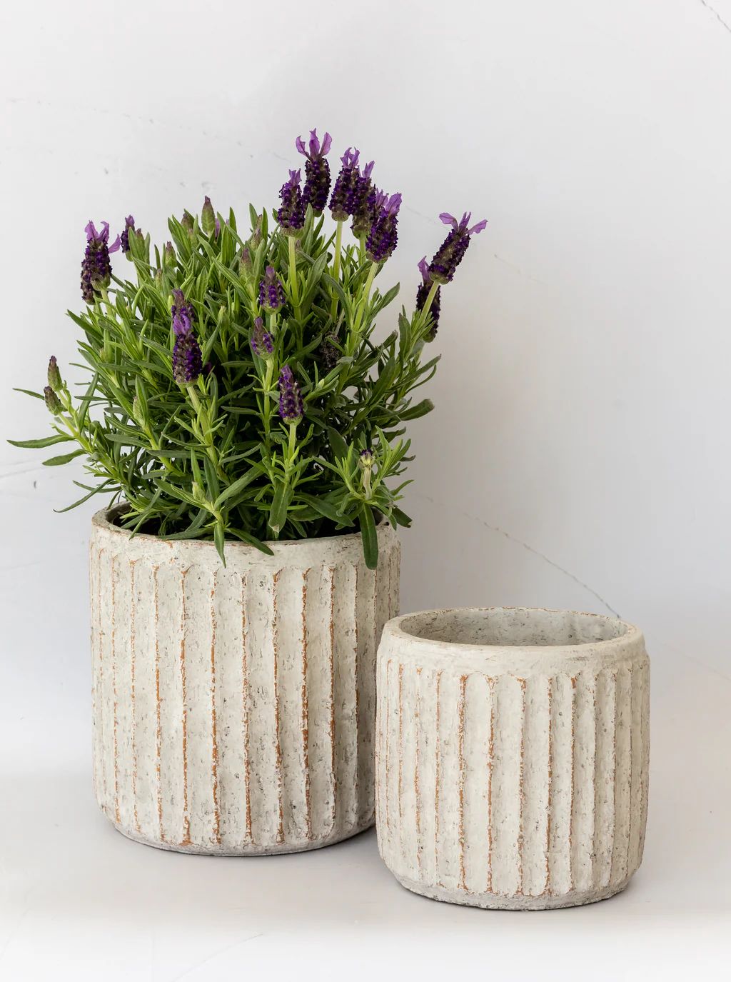 Fluted Pots | Set of 2 | House of Jade Home
