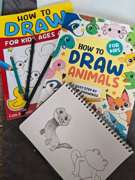 Have young kiddos that are interested in drawing? Check out these drawing book with LOTS of tutorials for learning to draw. 

#LTKfamily #LTKhome #LTKkids