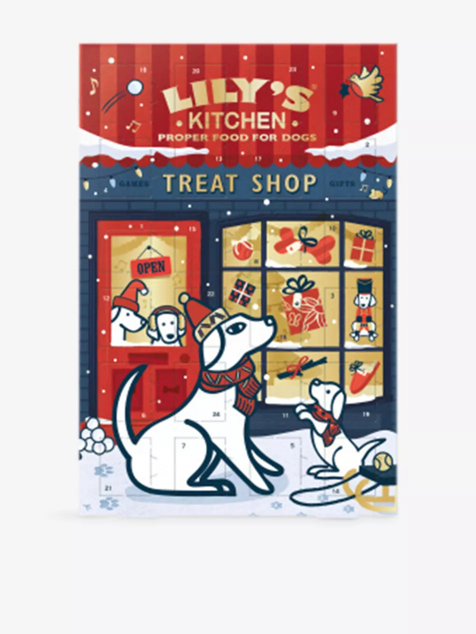 Pet Dog Christmas Advent Calendar 68g | Selfridges