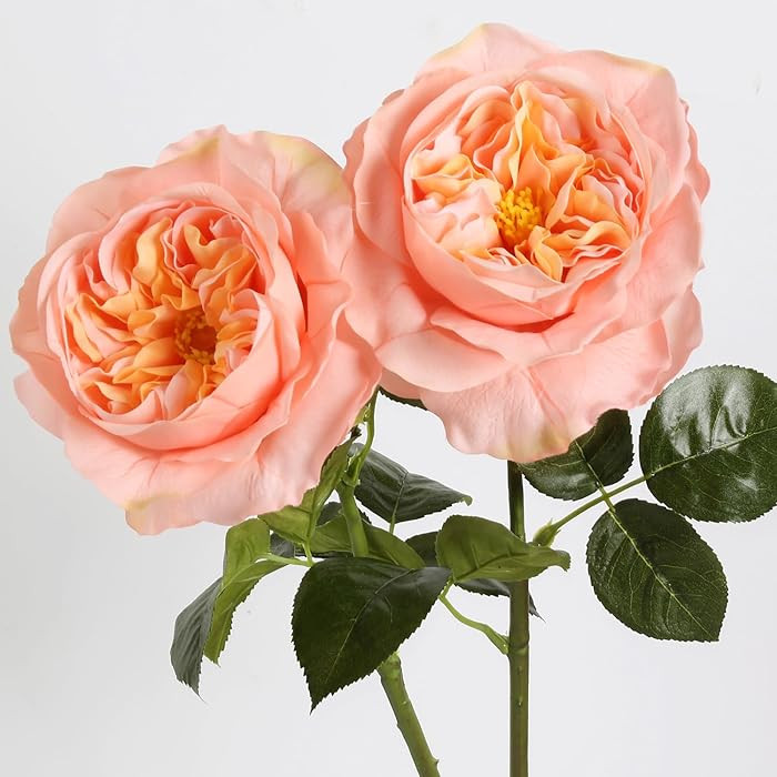 2Pcs Fake Austin Rose Peonies Flowers Real Touch Peach Roses with Stems 25.60'' Latex Peony Artif... | Amazon (US)
