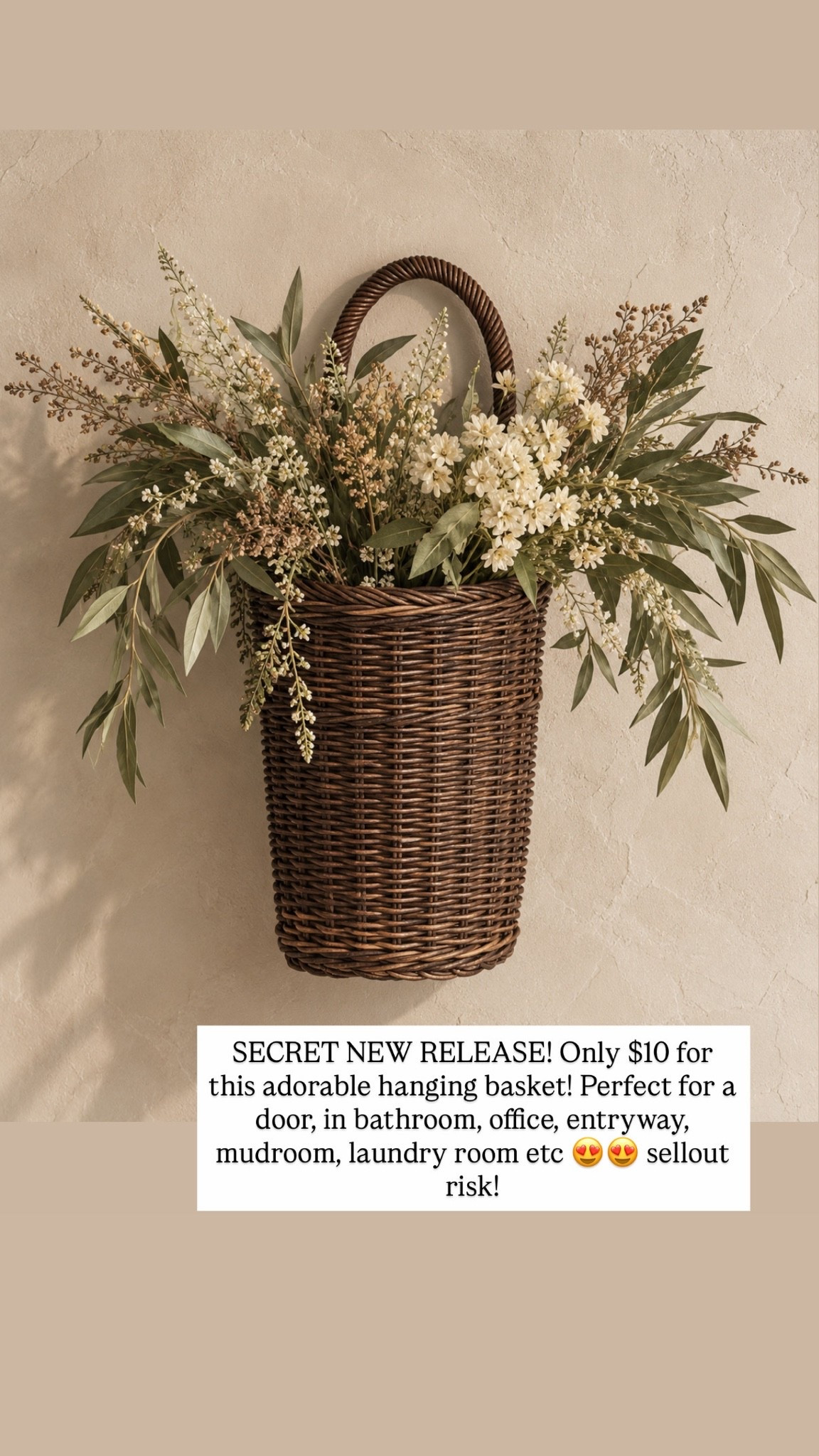 SECRET NEW RELEASE! Only $10 for this adorable hanging basket! Perfect for a door, in bathroom, office, entryway, mudroom, laundry room etc 😍😍 sellout risk!