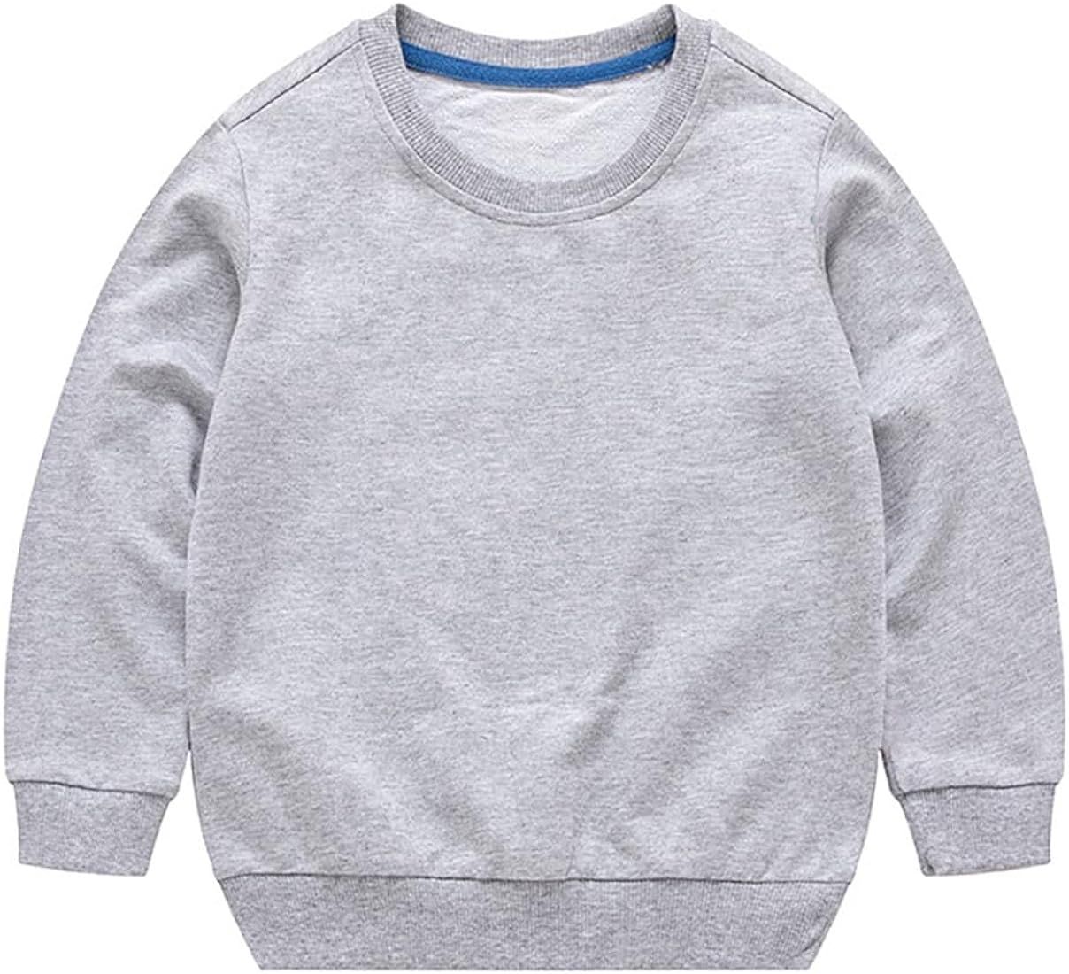 RUKOSU Toddler Kids Baby Boy Girl Long Sleeve Sweatshirt Casual Shirt Thin Pullover Infant Crewne... | Amazon (US)