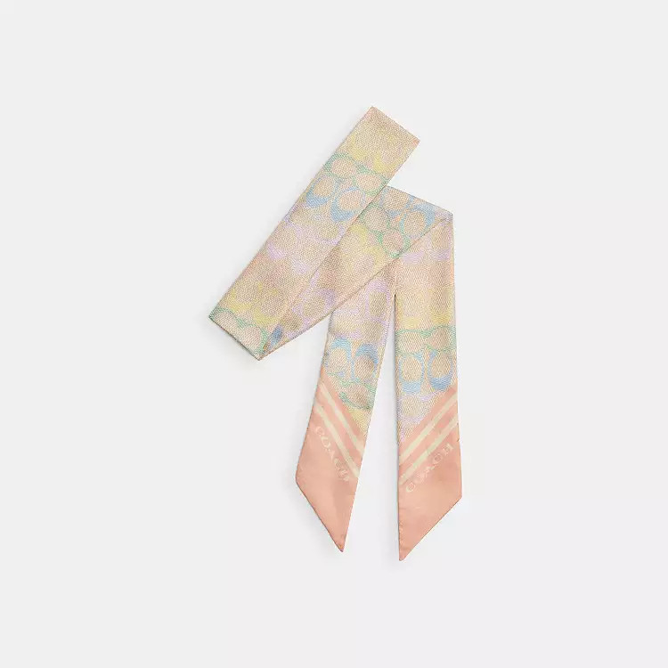 Signature Rainbow Print Silk Skinny Scarf | Coach Outlet US